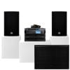 Dàn karaoke cao cấp RCF Acustica 39 (RCF C 5215-66)