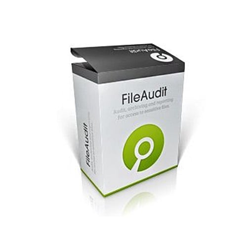 FileAudit - 1 to 4 systems