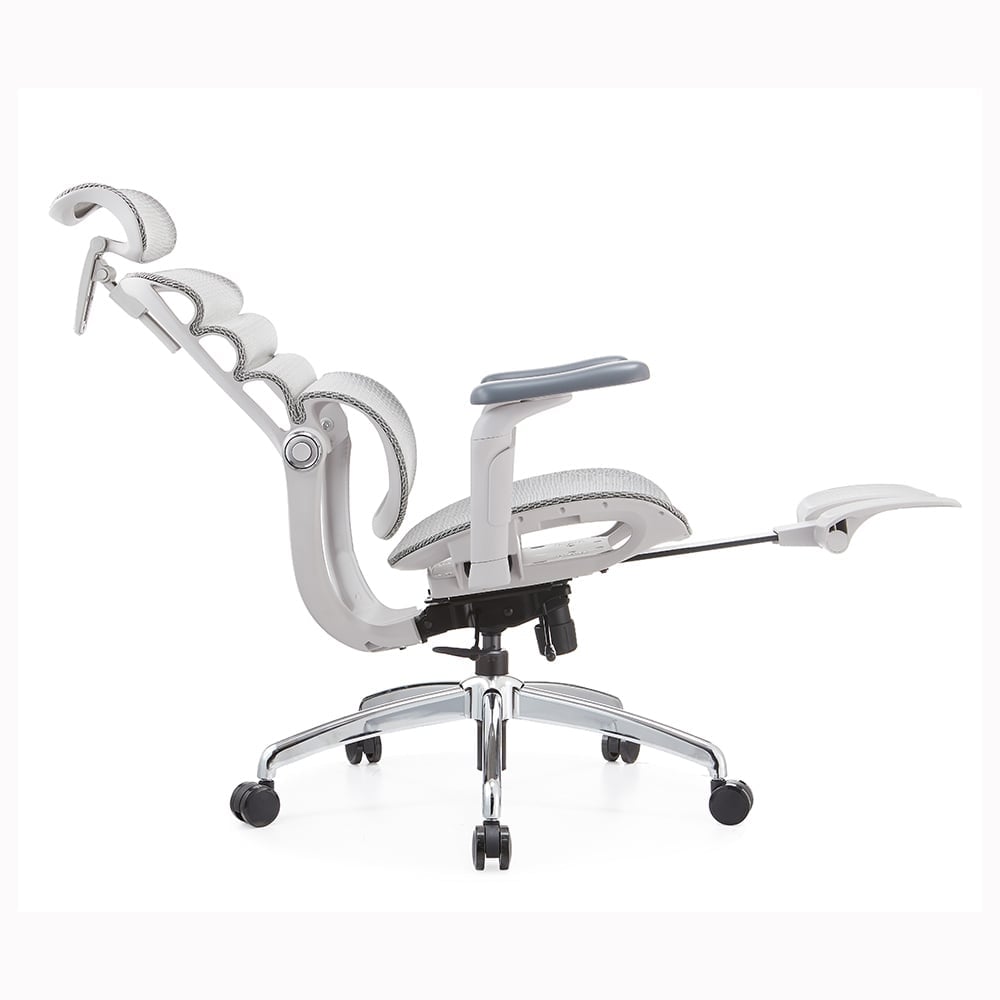 Ảnh minh họa Ghế Công Thái Học Manson Foris, Màu Xám, Có gác chân | Đỡ Lưng Bionic Spine, Ngả Sâu 147 Độ, Tay 5D 1