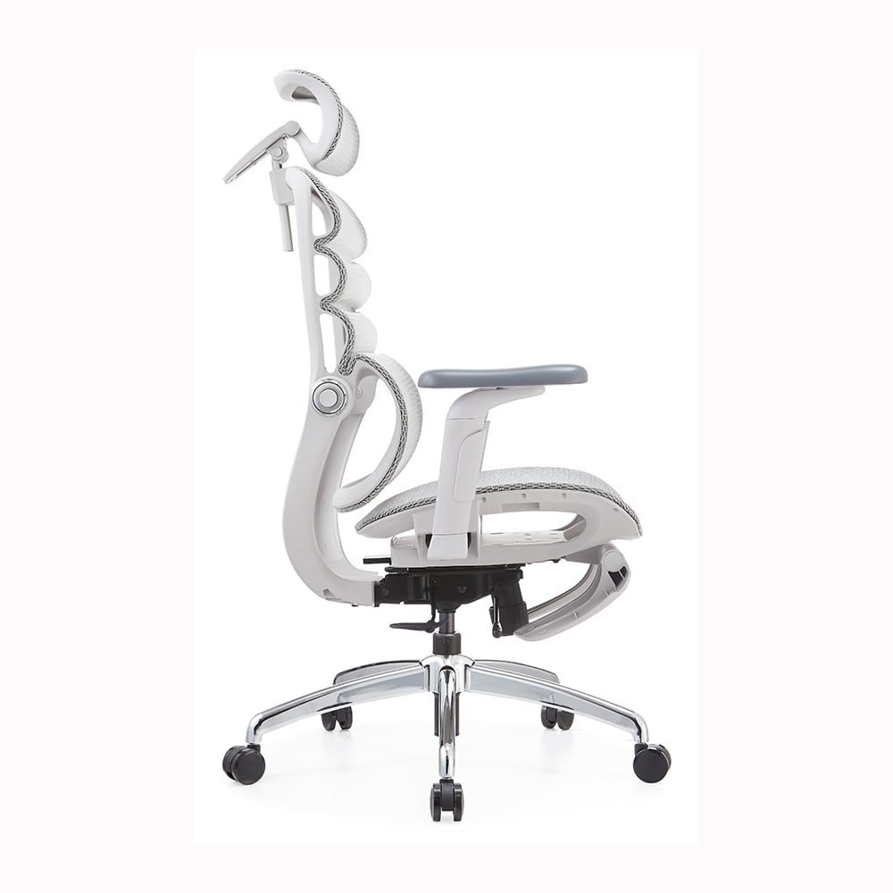 Ảnh minh họa Ghế Công Thái Học Manson Foris, Màu Xám, Có gác chân | Đỡ Lưng Bionic Spine, Ngả Sâu 147 Độ, Tay 5D 2