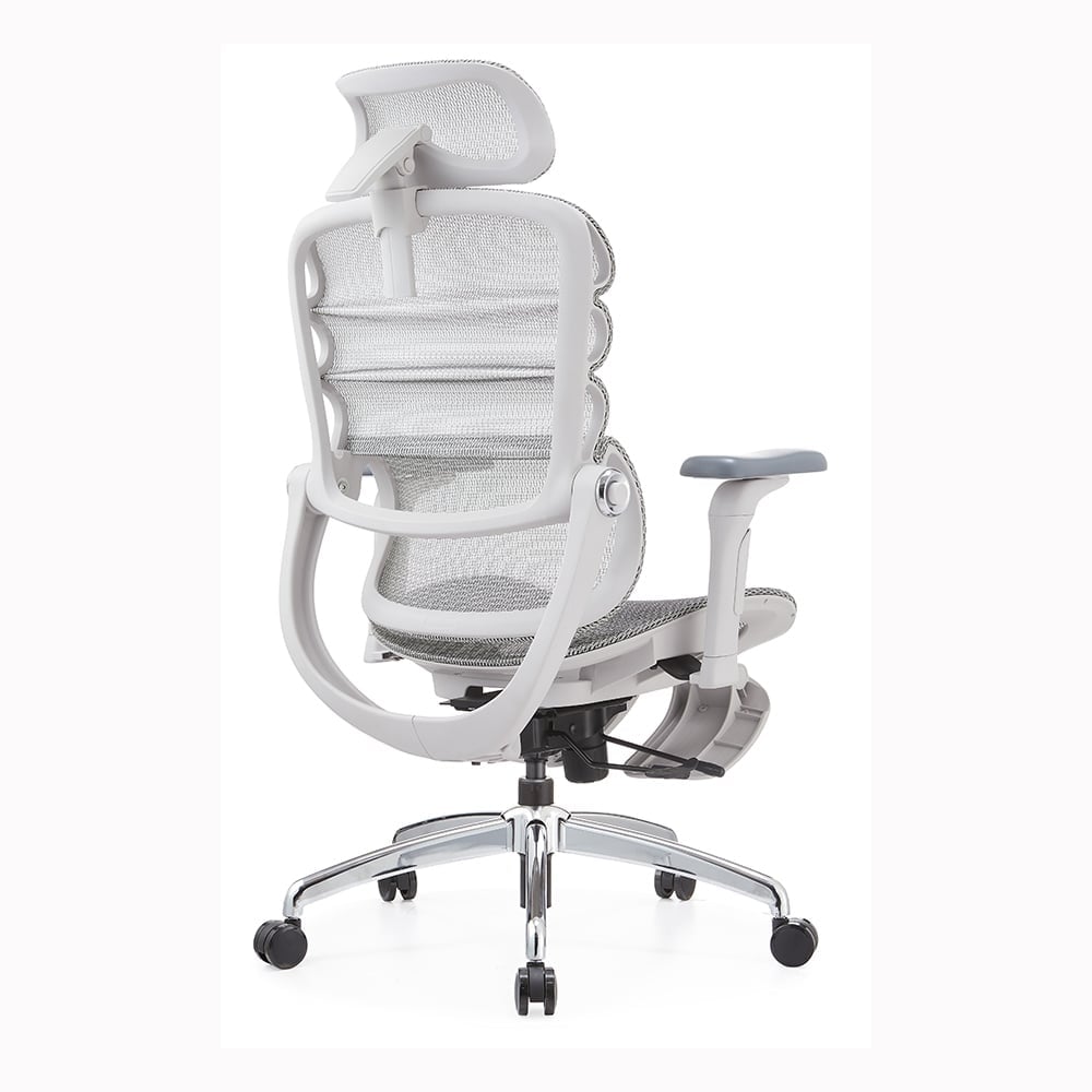 Ảnh minh họa Ghế Công Thái Học Manson Foris, Màu Xám, Có gác chân | Đỡ Lưng Bionic Spine, Ngả Sâu 147 Độ, Tay 5D 3