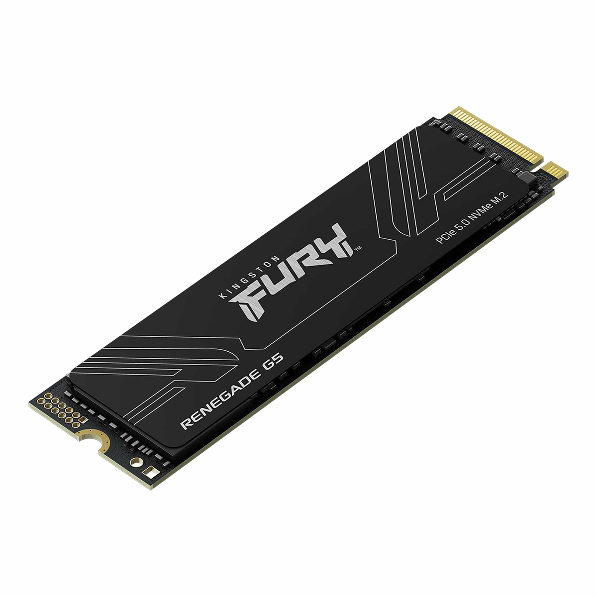 Ảnh minh họa Ổ cứng SSD Kingston Fury Renegade G5 PCie 5.0 NVMe M.2 SSD SFYR2S/2T0 2TB 1