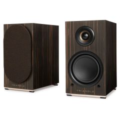  Loa Triangle AIO TWIN, Bass 13 cm, Công suất Class D 2 × 50W 