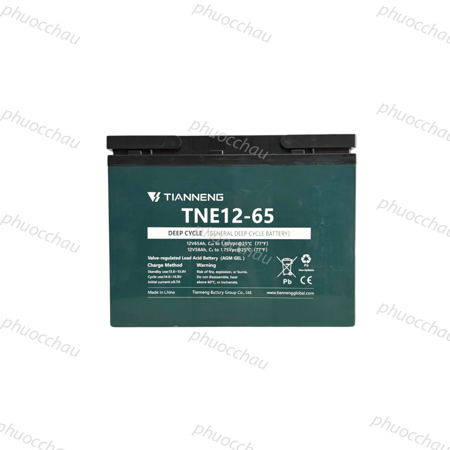 Ảnh minh họa Ắc Quy Thiên Năng Tianneng TNE12-65 (12V - 65Ah), ắc quy dùng cho UPS, Năng lượng mặt trời 1