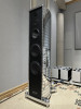 Ảnh minh họa GAUDER AKUSTIK DARC 250 CHROME DOUBLE VISION MKII 2