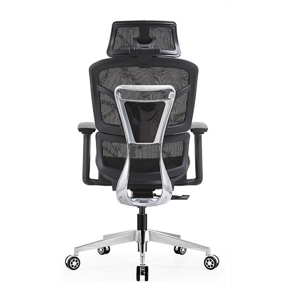 Ảnh minh họa Ghế công thái học E-Dra EEC223 Black 1