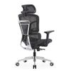 Ghế công thái học E-Dra EEC223 Black