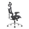 Ghế công thái học E-Dra EEC223 Black