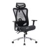Ghế công thái học E-Dra EEC225