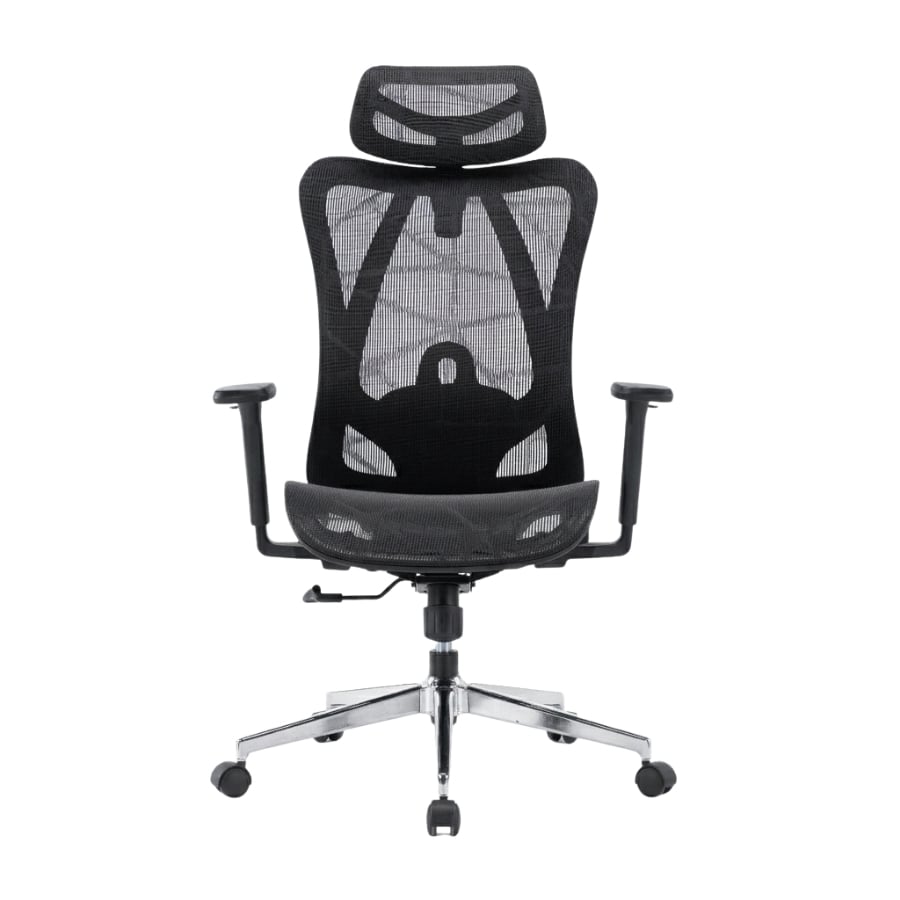 Ghế công thái học E-Dra EEC225