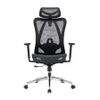 Ghế công thái học E-Dra EEC225
