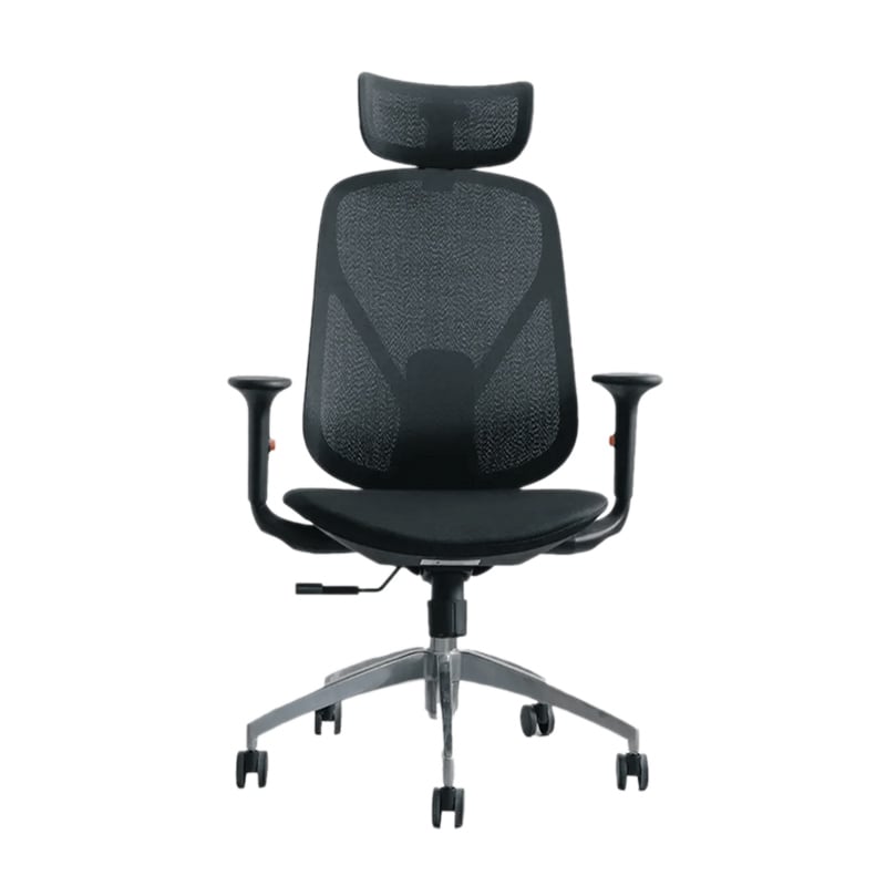 Ghế công thái học Epione ElysChair All Black | Lưng lưới, Kèm tựa đầu, Đen