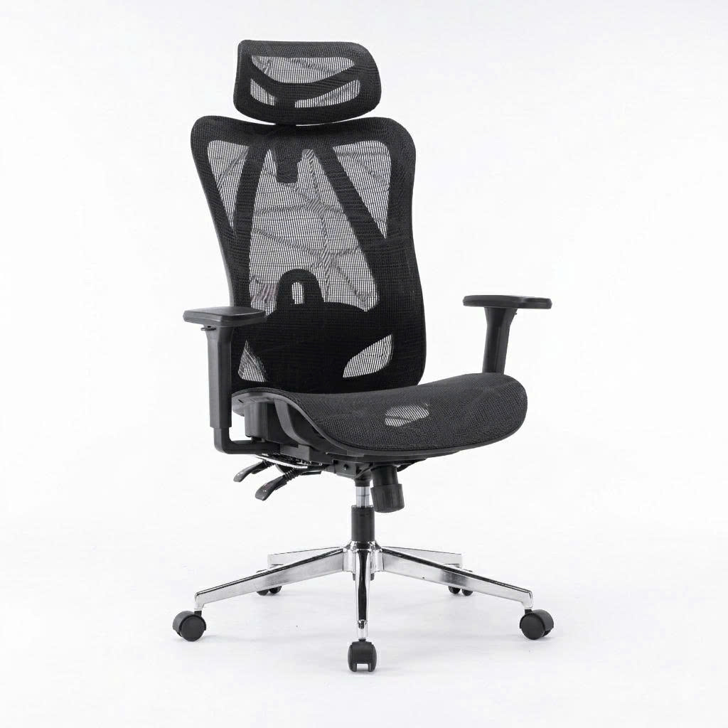 Ảnh minh họa Ghế công thái học ergonomic E-Dra EEC225 Black 1