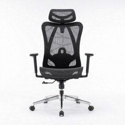 Ảnh minh họa Ghế công thái học ergonomic E-Dra EEC225 Black 2