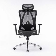  Ghế công thái học ergonomic E-Dra EEC225 Black 