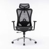 Ghế công thái học ergonomic E-Dra EEC225 Black
