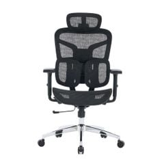 Ghế công thái học ergonomic E-Dra EEC226 
