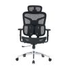 Ghế công thái học ergonomic E-Dra EEC226