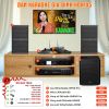 Dàn karaoke gia đình HDR105, Wharfedale WH10 Pro, AX15B, JKAudio