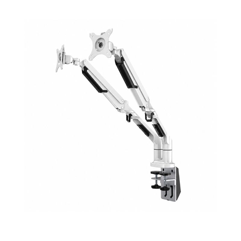 Ảnh minh họa Giá đỡ màn hình máy tính Flexispot MA8DW 1