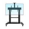 Giá Treo Tivi di động North Bayou CF100 (70 inch - 110 inch) Màu xám