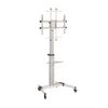 Giá treo tivi di động xoay ngang dọc Ergotek E2290 (37 inch - 86 inch)
