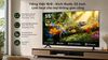 Google tivi Coocaa 55Y79 SE QLED 55 inch