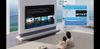 Google Tivi Premium QLED TCL 4K 75P8L 75 inch