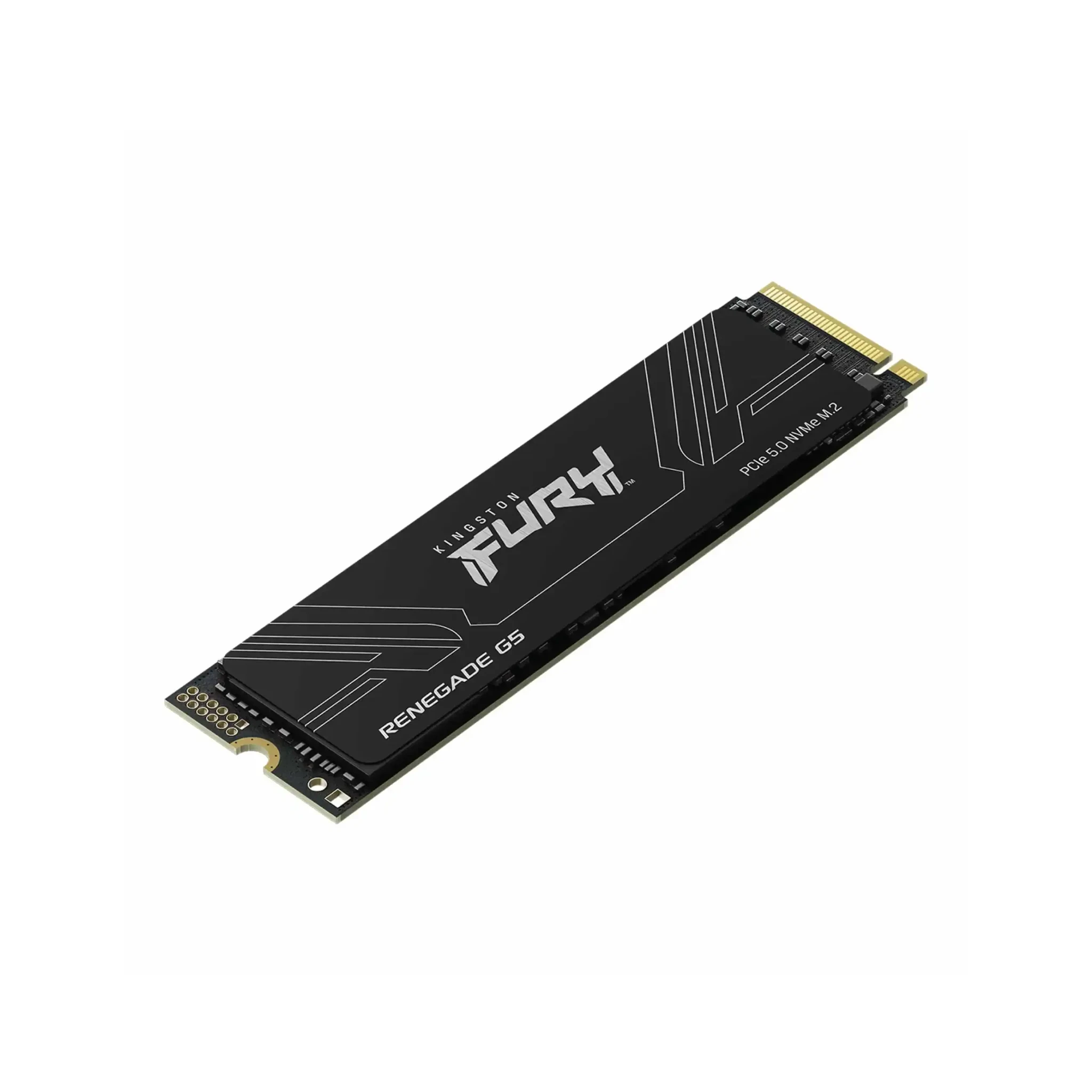 Ảnh minh họa SSD Kingston Fury Renegade G5 8TB M.2 NVME PCIe Gen 5 14800 MB/s (SFYR2D/8T1) 1