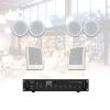 Hệ thống âm thanh nhạc nền cafe nhà hàng spa Philips 08 (70-05)