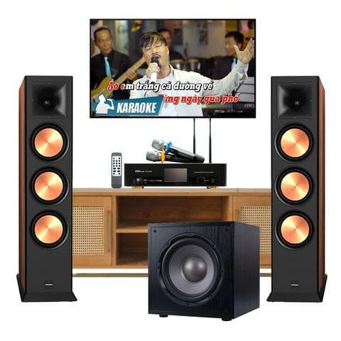Dàn nghe nhạc và hát karaoke Paramax 08 (Paramax Euro 803 Limited)