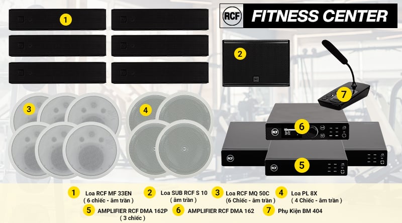 Ảnh minh họa Hệ thống âm thanh nhạc nền RCF cao cấp phòng thể dục, Gym, yoga 1