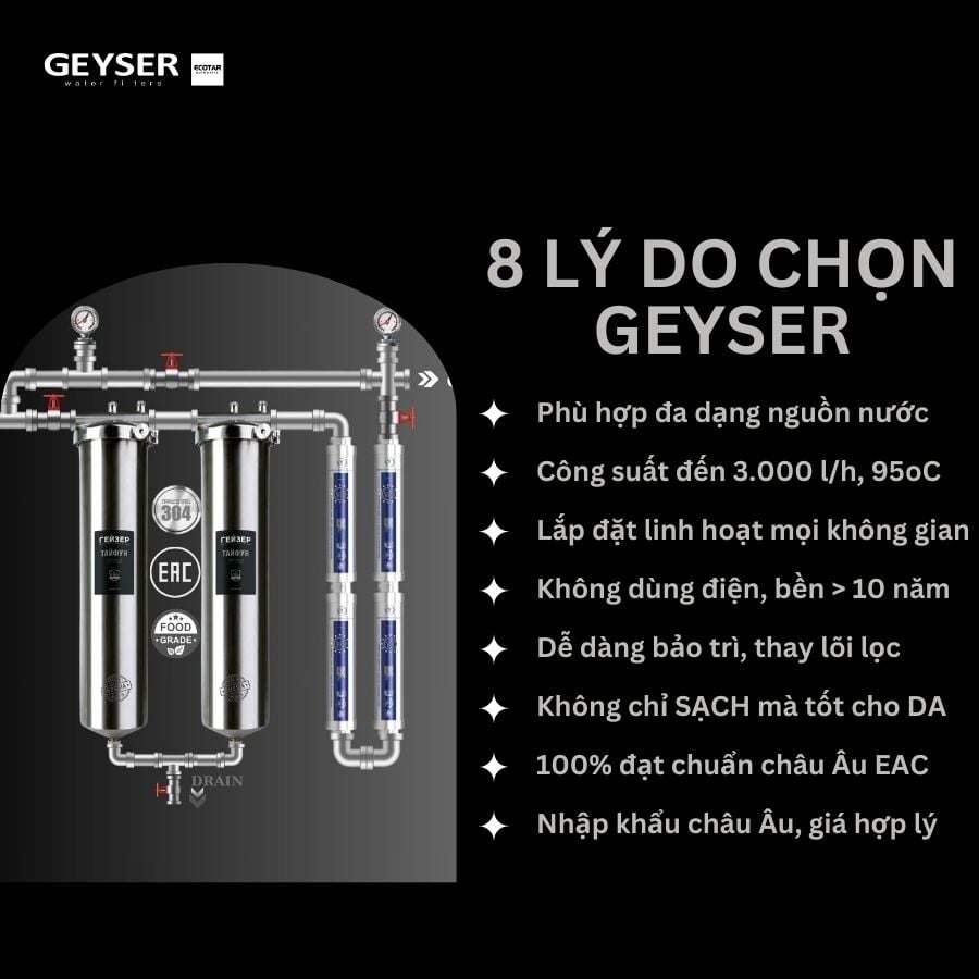 Ảnh minh họa Hệ thống lọc nước tổng đầu nguồn Geyser Ecotar 2F4A 1