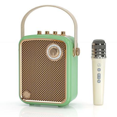 Loa Bluetooth Karaoke di động L100 Xanh Lá