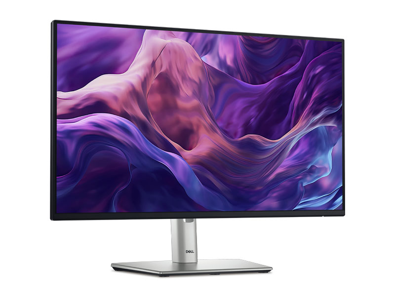 Ảnh minh họa Màn hình LCD Dell Pro 24 Plus P2425H (23.8 inch - FHD - IPS - 100Hz - 5ms - 99% sRGB) 2