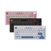 Bàn phím cơ không dây AKKO 5075 V3 Multi Mode RGB Hotswap (AKKO Sw)