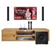 Dàn karaoke LC20 (SE Audiotechnik IC-38X)
