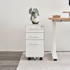 Hộc tủ tài liệu 3 ngăn The Leaf Slim