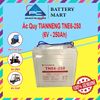 Ắc Quy Thiên Năng Tianneng TNE6-250, ắc quy dùng cho xe điện, xe golf
