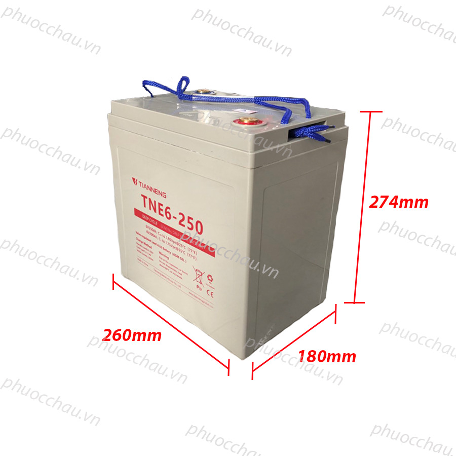 Ảnh minh họa Ắc Quy Thiên Năng Tianneng TNE6-250 (6V - 250Ah), ắc quy dùng cho xe điện, xe golf, xe chà sàn 2