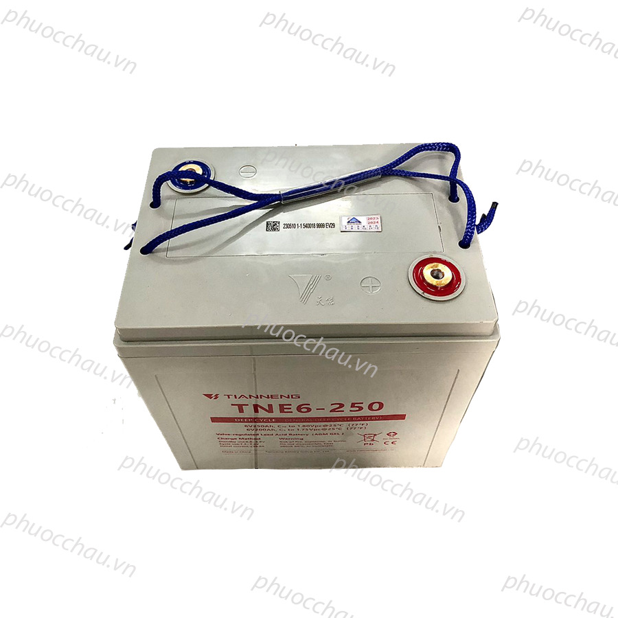 Ảnh minh họa Ắc Quy Thiên Năng Tianneng TNE6-250 (6V - 250Ah), ắc quy dùng cho xe điện, xe golf, xe chà sàn 3