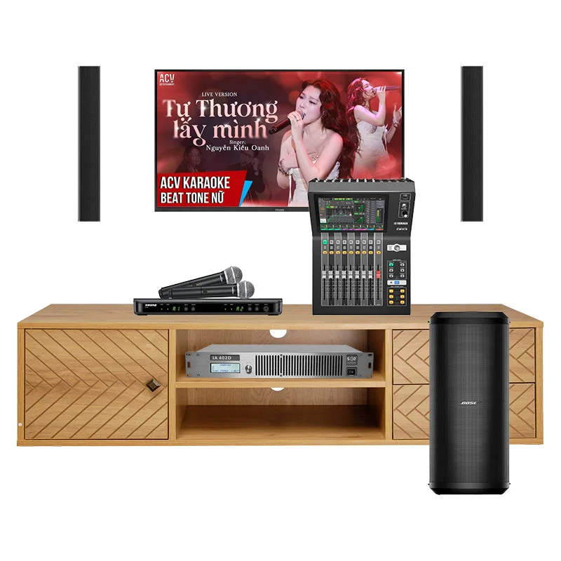 Dàn karaoke LC21 (SE Audiotechnik IC-38X, SE AudioTechnik IA-402D, Shure BLX288A B58, Yamaha DM3S, Bose SUB2)