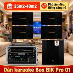  Dàn karaoke Box BIK Pro 01 (BIK BK-C25) 