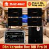 Dàn karaoke Box BIK Pro 01 (BIK BK-C25)