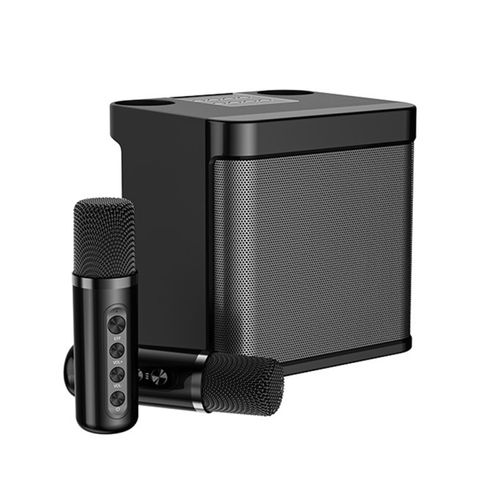 Loa karaoke Bluetooth YS-203 Màu Đen – Micrô không dây, âm thanh chuyên nghiệp