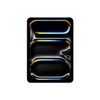 iPad Pro M5 11 inch 5G 256GB