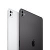iPad Pro M5 13 inch WiFi 256GB