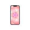 iPhone 17e 256GB