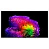 Smart tivi LG OLED 4K 65 inch 2026 (OLED65G6PSA)