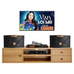  Dàn karaoke gia đình KGD294 (JBL Ki112 Gold Edition) 